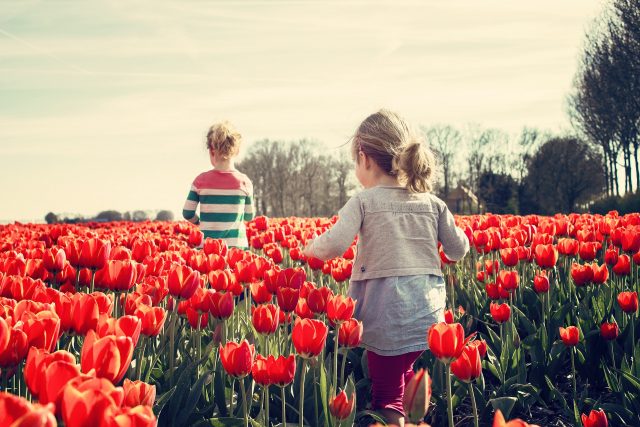 Bambine a contatto con la natura, in un campo fiorito di tulipani - marmocchio